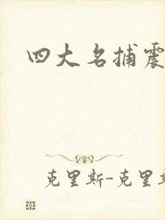 四大名捕震关东