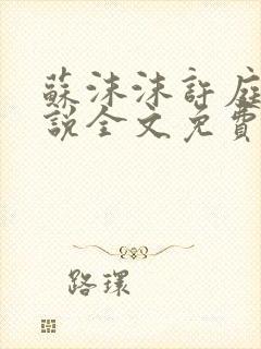 苏沫沫许庭川小说全文免费阅读