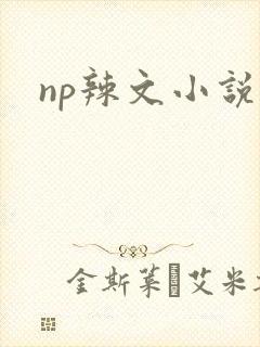 np辣文小说封面
