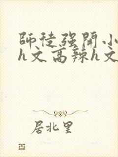 师徒强开小嫩苞h文高辣h文