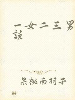 一女二三男事小说