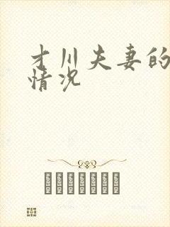 才川夫妻的恋爱情况