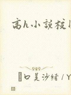 高h小说校园