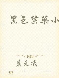 黑色禁药小说