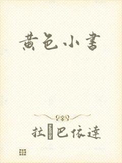 黄色小书