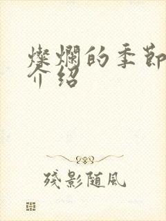 灿烂的季节剧情介绍封面