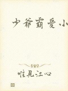 少爷霸爱小丫头