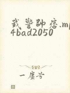 武警帅痞.mp4bad2050