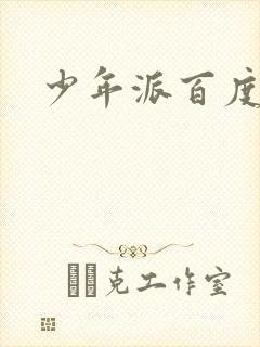 少年派百度百科