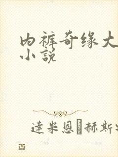 内裤奇缘大团结小说