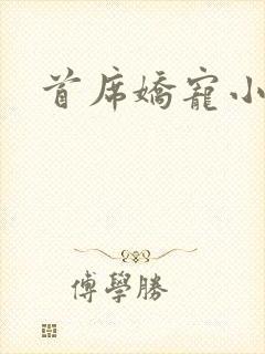 首席娇宠小情人