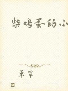柴鸡蛋的小说
