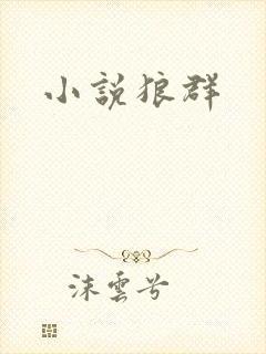 小说狼群