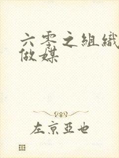 六零之组织给我做媒