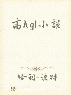 高hgl小说