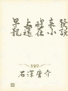 早上醒来发现巨龙还在小说