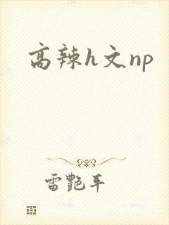高辣h文np