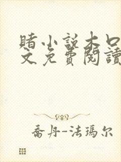 赌小说木口银全文免费阅读笔趣阁