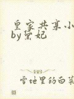 皇家共享小公主by黛妃