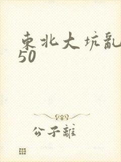 东北大坑乱1—50