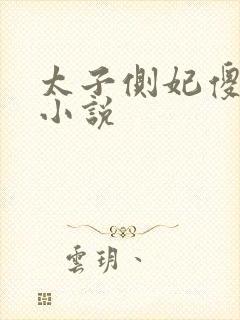 太子侧妃傻乎乎小说