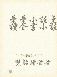 爱爱小说免费阅读全书小说乡村