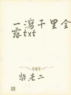 一泻千里金银花露txt