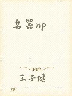 名器np