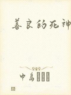 善良的死神小说