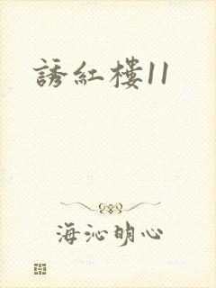 诱红楼11