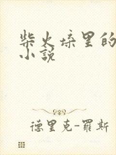 柴火垛里的疯狂小说