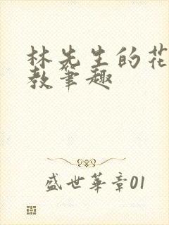 林先生的花式管教笔趣