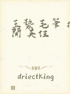 玉势 毛笔 撑开 夹住