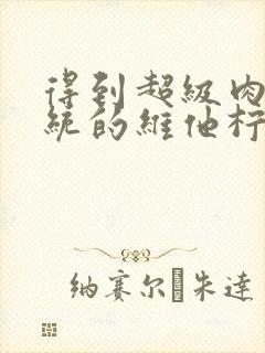 得到超级肉禽系统的维他柠檬茶