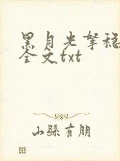 黑月光拿稳小说全文txt