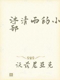 沐清雨的小说全部