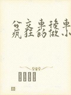 公交车后车座的疯狂的做小