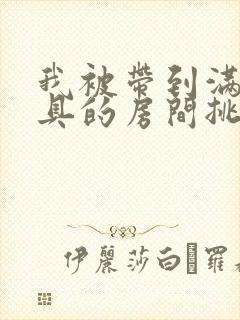 我被带到满是玩具的房间挑调作文