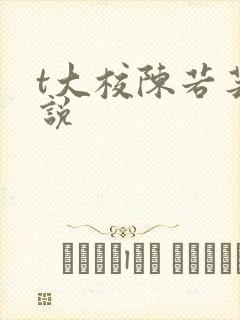t大校陈若芸小说