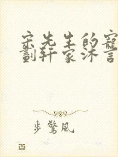 宋先生的宠妻计划轩家沐言