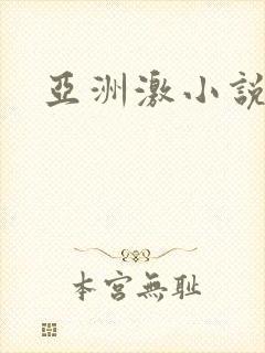 亚洲激小说封面