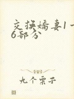 交换娇妻1一36部分