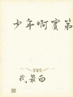 少年啊宾第二部