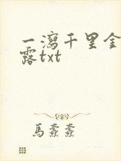 一泻千里金银花露txt封面