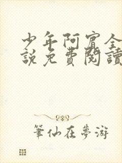 少年阿宾全文小说免费阅读笔趣阁