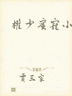 权少蜜宠小娇妻