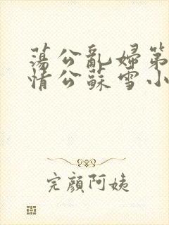 荡公乱妇第1章情公苏雪小说