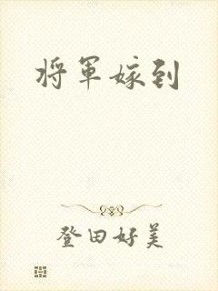将军嫁到