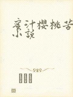 蜜汁樱桃苦咖啡小说