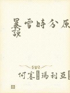 暴雪时分原著小说